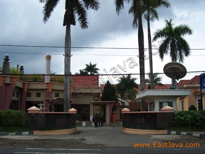 palm_hotel_bondowoso_2.jpg