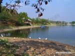ngipik_lake_hresik_e_3c1d1d