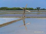 wind_pump_at_salt_pr_3c1d28