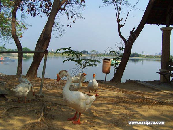ngipik_lake_gresik.jpg