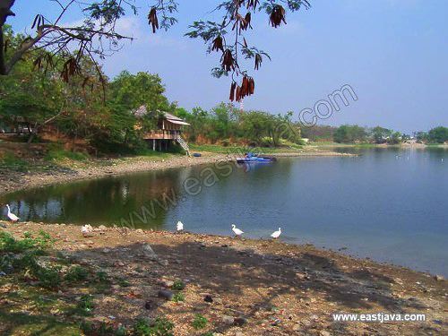 ngipik_lake_hresik_e_3c1d1d.jpg