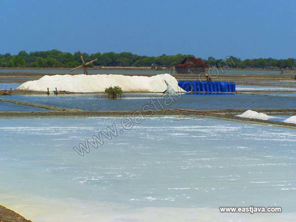 salt_embangk_gresik.jpg