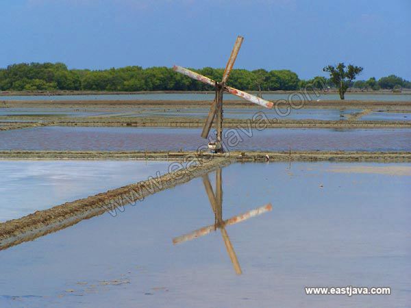 wind_pump_at_salt_pr_3c1d28.jpg