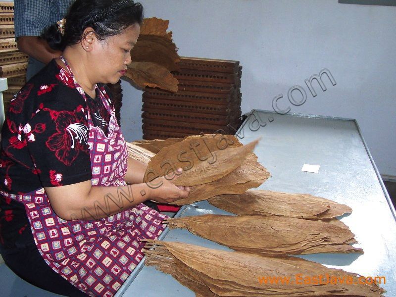 cigar_industry_jembe_3c1d47.jpg