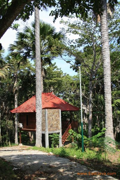 papuma_cottage_jembe_3c1d4e.jpg