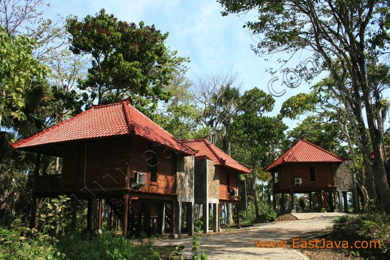 papuma_cottage_jembe_3c1d4f.jpg