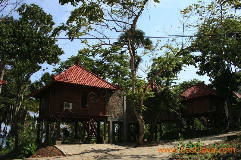 papuma_cottage_jembe_3c1d50.jpg
