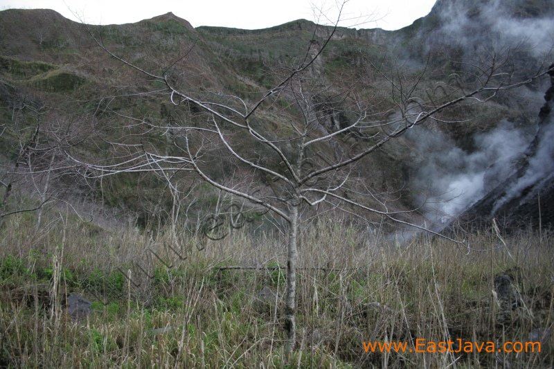 mount_kelud_kediri_e_3c1dbe.jpg