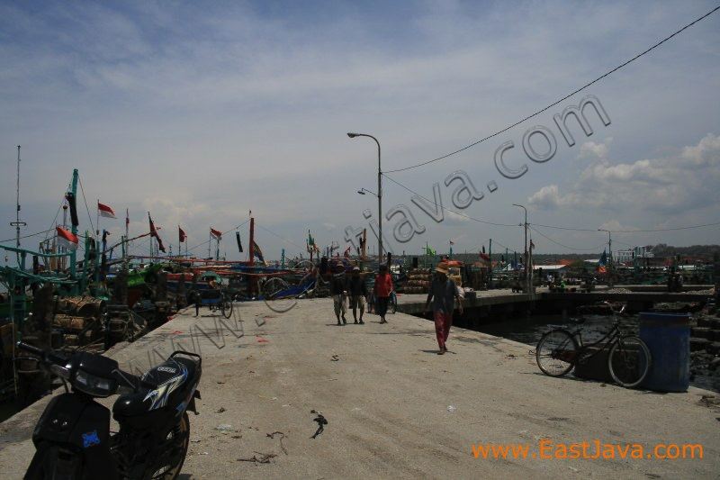 brondong_auction_fis_3c1e1e.jpg