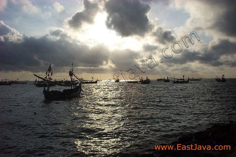 bambang_beach_banyuwangi.jpg