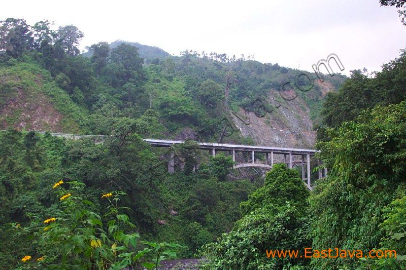 lumajang_bridge_east_java.jpg