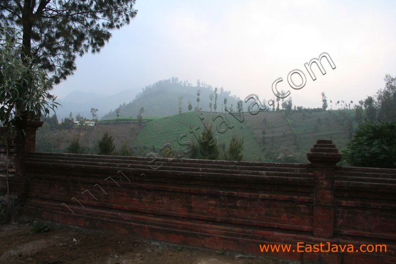 ranu_pane_lumajang_east__3a.jpg