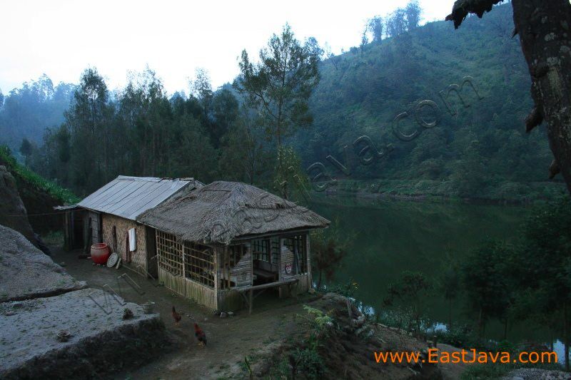 ranu_pane_lumajang_east__3b.jpg