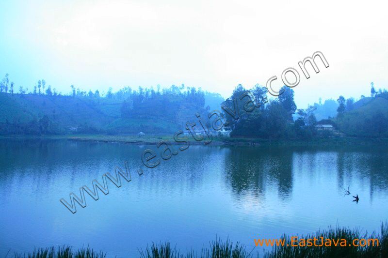 ranu_pane_lumajang_east__3d.jpg