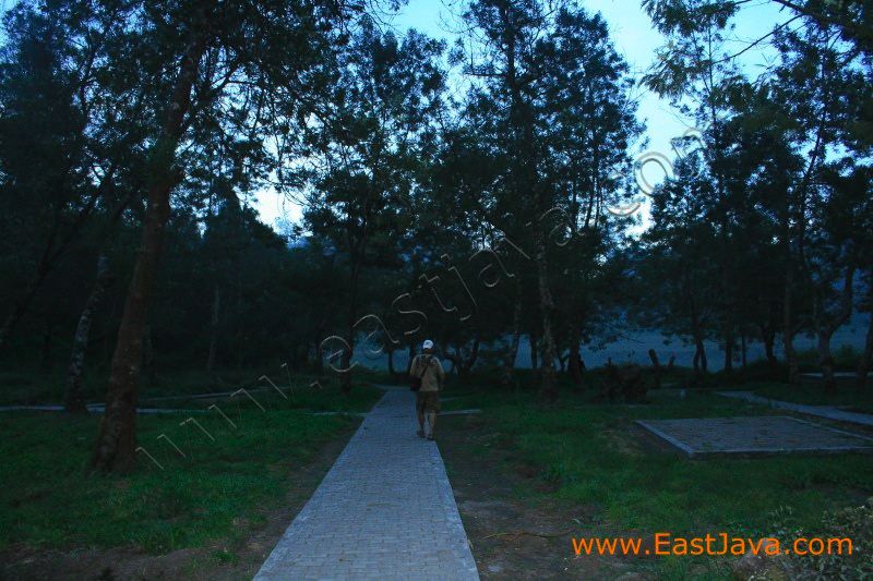ranu_regulo_lumajang_eas_3f.jpg