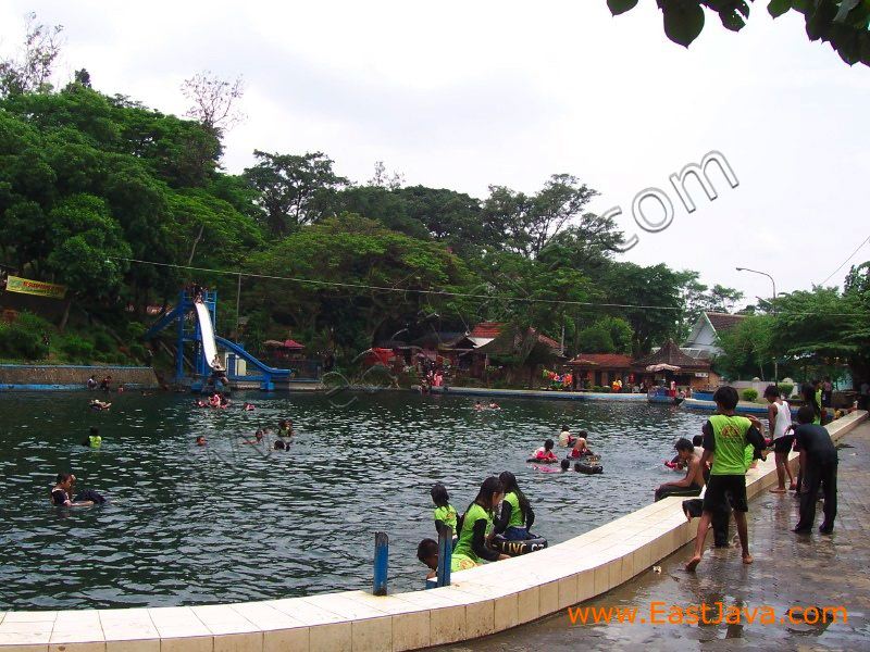 selokambang_swimming_poo_40.jpg