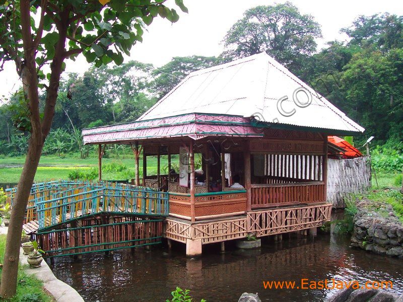 selokambang_swimming_poo_41.jpg