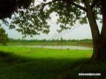 bening_dam_madiun_1