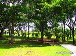 bening_dam_madiun_3