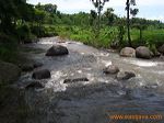 grape_tourism_madiun_3c21ac