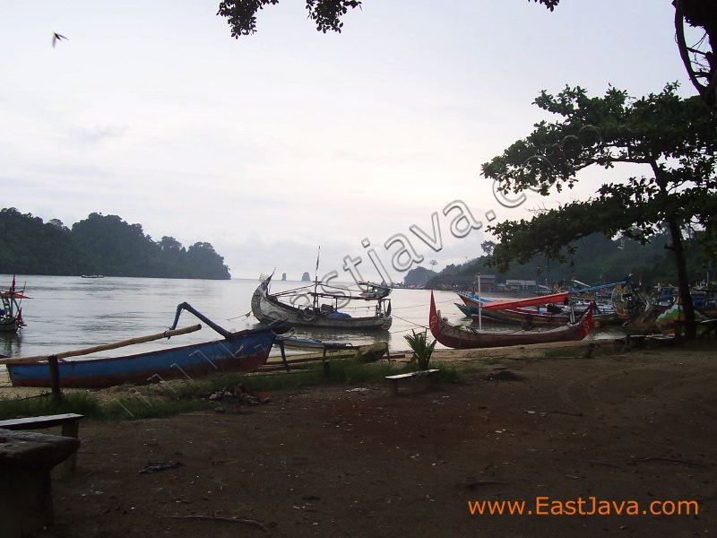 sendang_biru_beach_malang.jpg