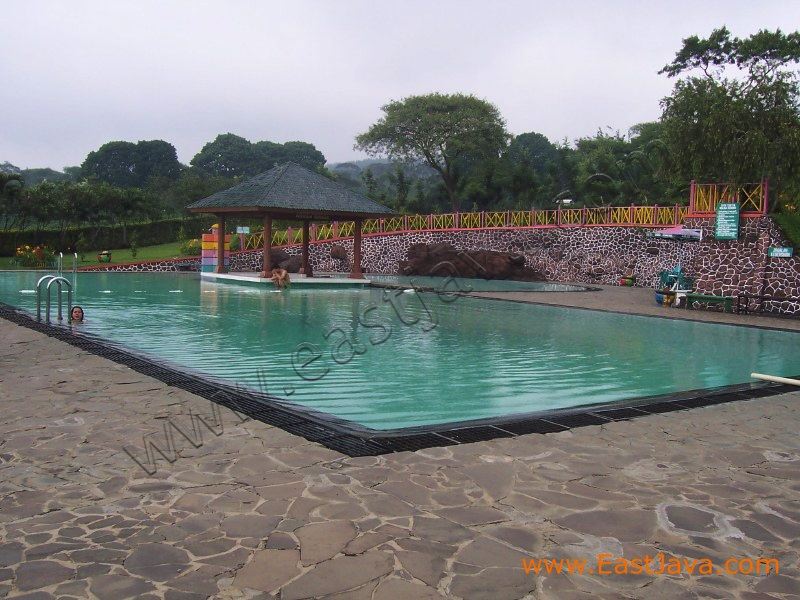 wonosari_tea_plantat_3c2276.jpg