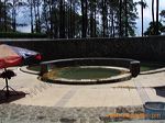 padusan_forest_touri_3c22bb