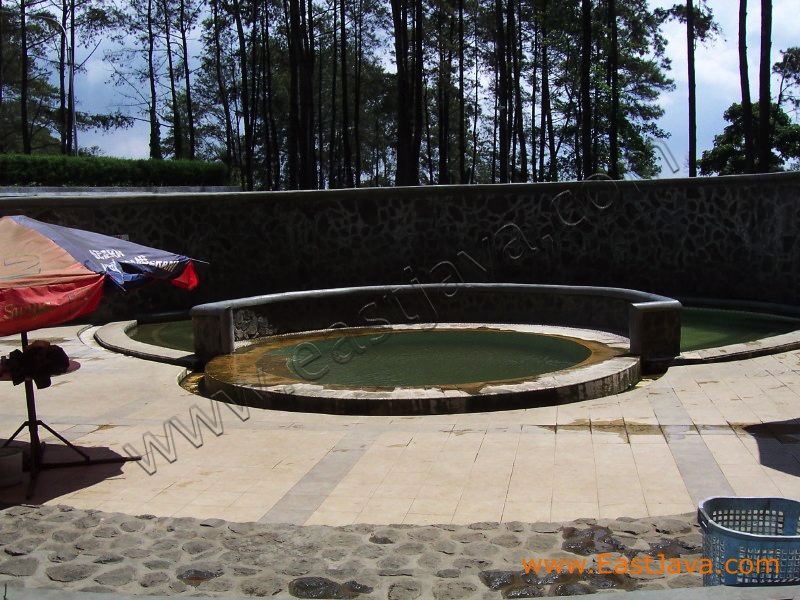 padusan_forest_touri_3c22bb.jpg