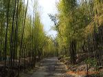 tawun_park_ngawi_2