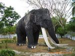 trinil_museum_ngawi__3c2331