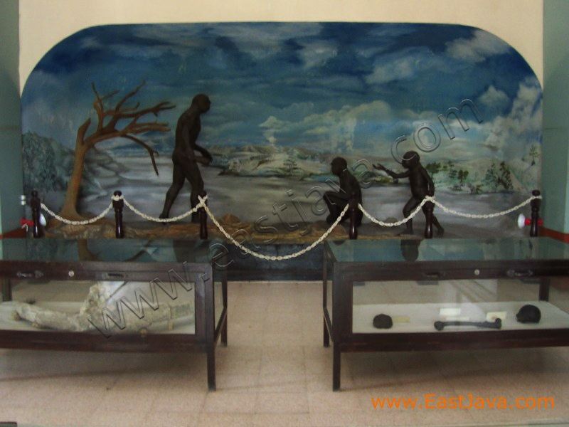 trinil_museum_ngawi__3c2332.jpg