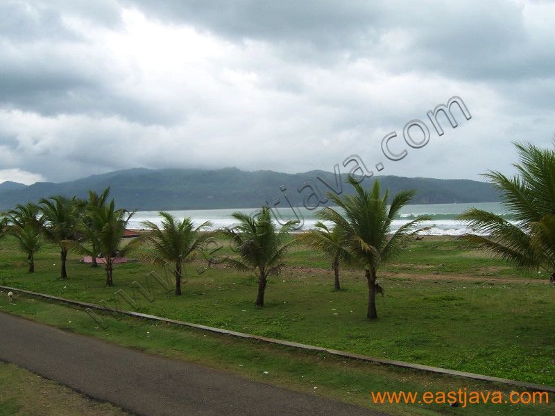 teleng_ria_beach_pacitan_2.jpg