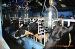 farm_sekar_sari_pasu_3c24b6