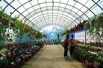 flora_hill_nongkojaj_3c24cc