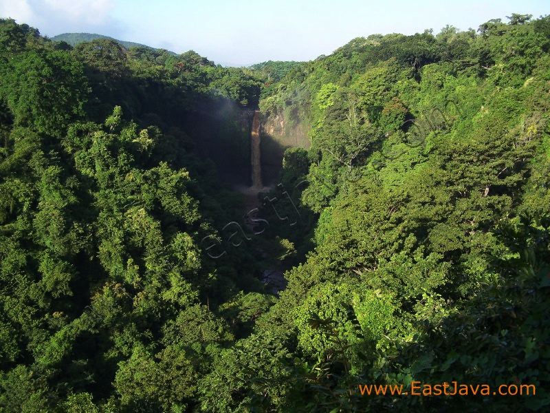 coban_baung_waterfal_3c24a8.jpg