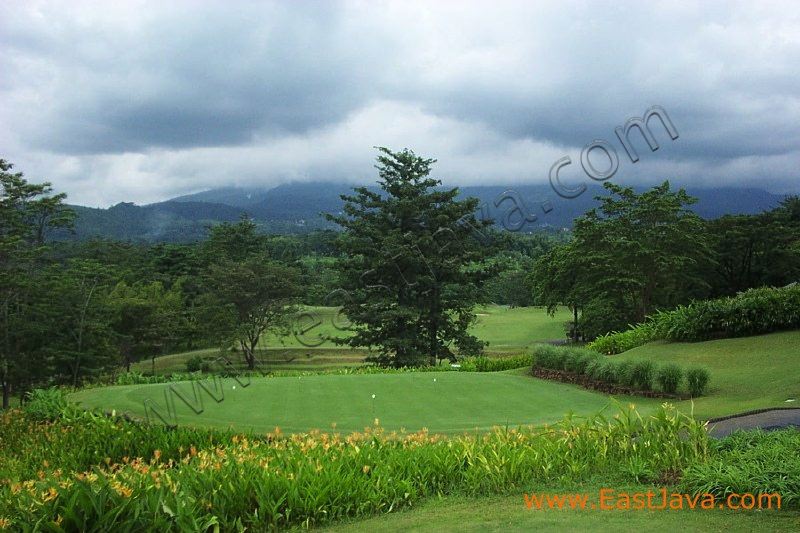 finna_golf_pasuruan__3c24c5.jpg