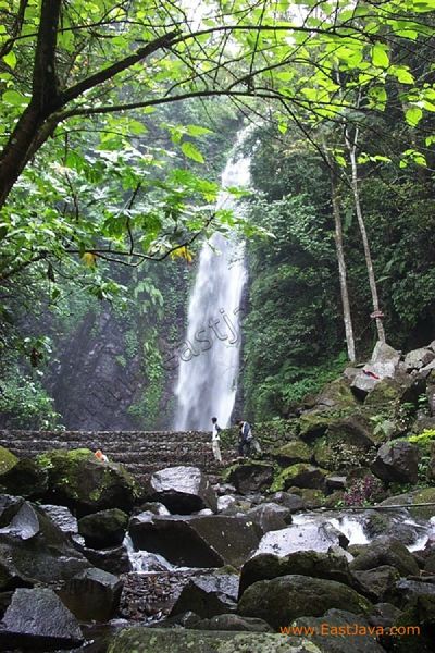 kakek_bodo_waterfall_3c24d8.jpg
