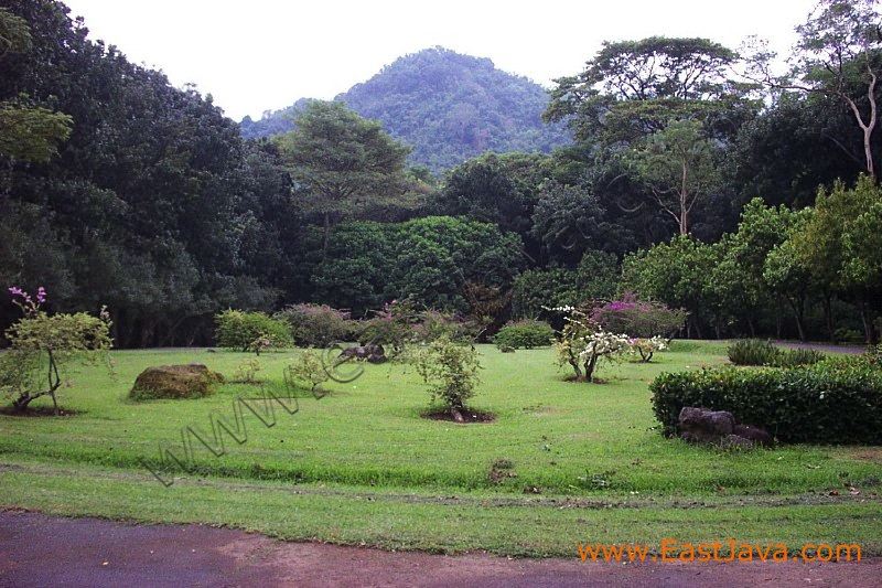 purwodadi_botanical__3c24e8.jpg