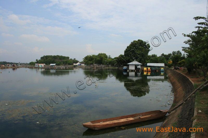 ranu_grati_pasuruan__3c24ed.jpg