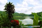 ngebel_lake_ponorogo_3c25fe