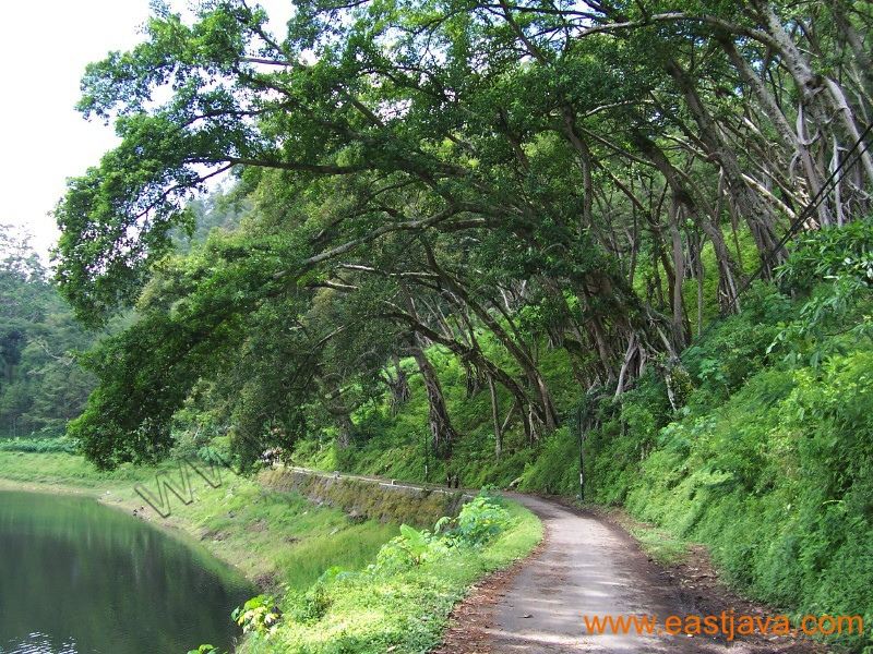 ngebel_lake_ponorogo_2.jpg