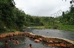 segaran_hotspring_pr_3c2644