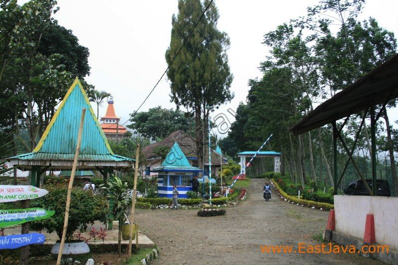andung_biru_tea_plan_3c2622.jpg