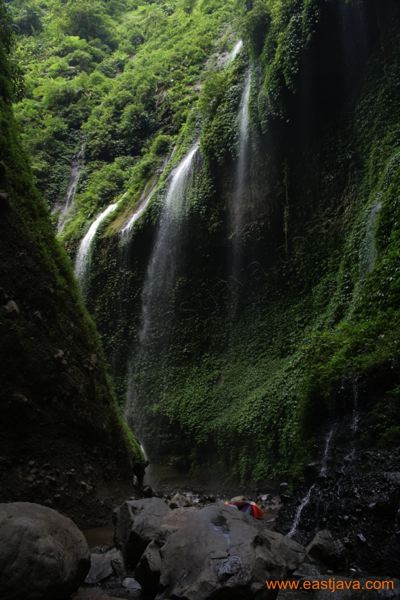 madakaripura_waterfa_3d8e1b.jpg
