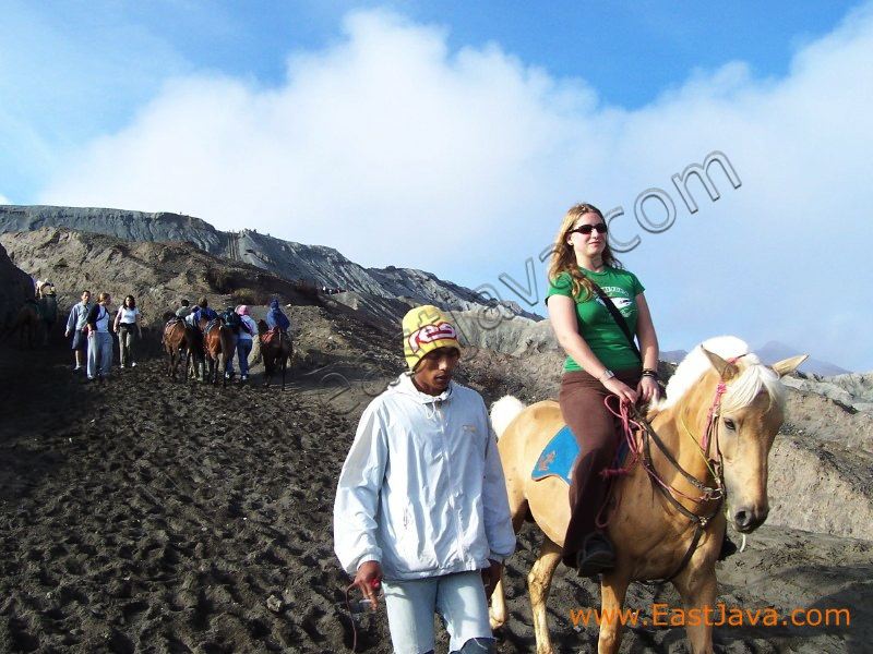 mount_bromo_eastjava_3c263c.jpg