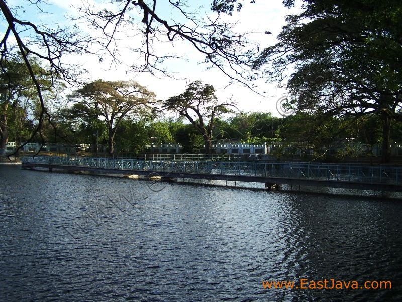 ronggojalu_lake_prob_3c2641.jpg