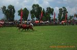 bull_race_madura_ind_3c2670