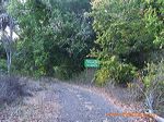 baluran_national_par_3c2719