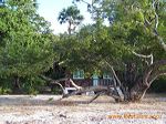 bama_beach_banyuwang_3c271c
