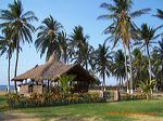 pasir_putih_beach_situbondo